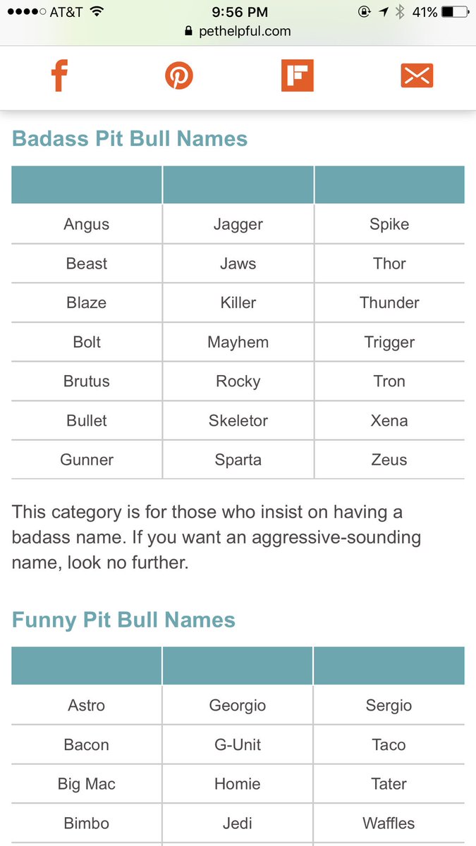 MaryV_21's tweet photo. @GingerWesson  Xena and blazes names are both in this list! 😂 https://t.co/6l3SCnRtFr