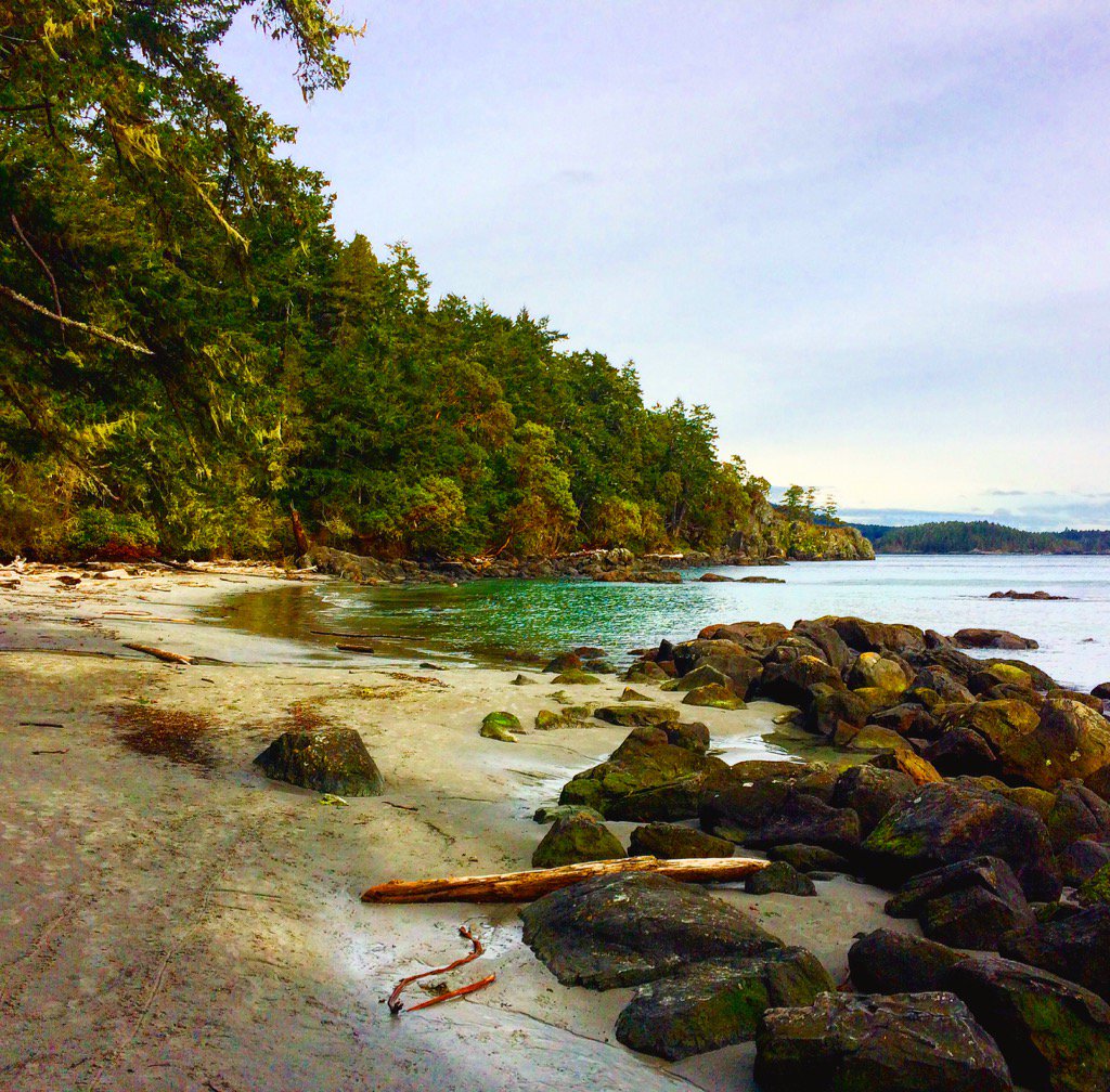 JimBottomley1's tweet photo. Found great beach today 4 a #dogwalk #VancouverIsland #EastSooke @Sooke_Tourism @victoriavisitor @TourismVI @HelloBC https://t.co/Z7RRrLLikB
