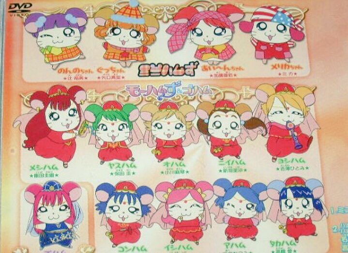 ミニハムず🎀モーハムず＆ゴハム🎀あややムwithエコハムず🎀エコモニ