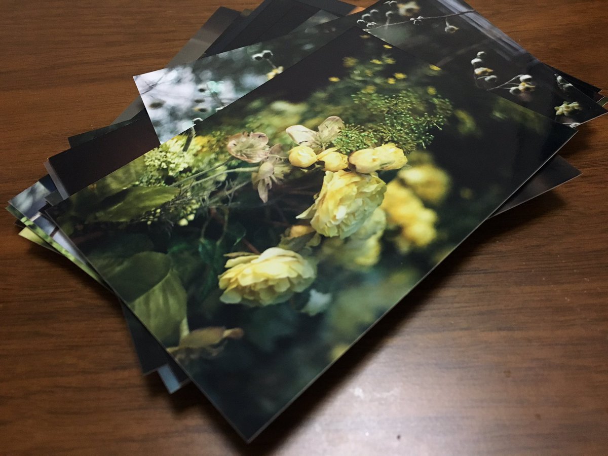 chichic's tweet photo. I like Kodak colours.
#PrintedPhoto #ExpiredFilmMagic #believeinfilm #expiredfilm #Ultramax400 https://t.co/C7w1VIQ8yr