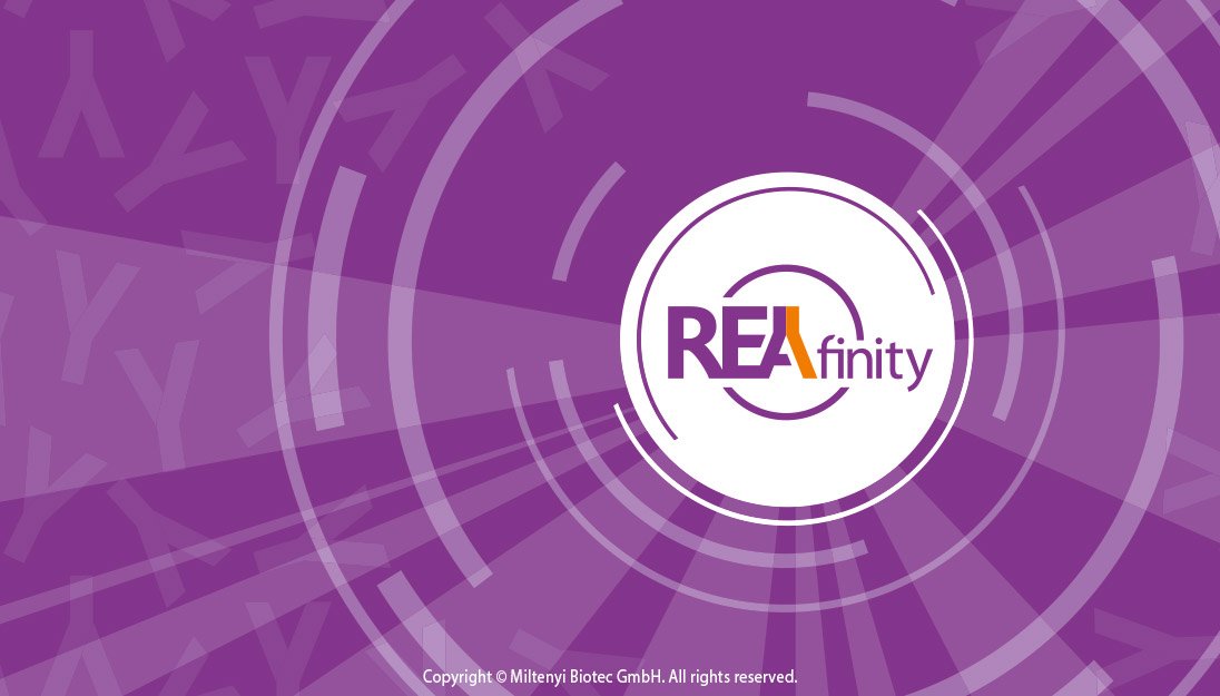 miltenyibiotec's tweet photo. Background signal getting in the way? Read how #REAfinity Recombinant Antibodies ensure precise results every time https://t.co/1S4Xk43wng https://t.co/5ihNhZMRCd
