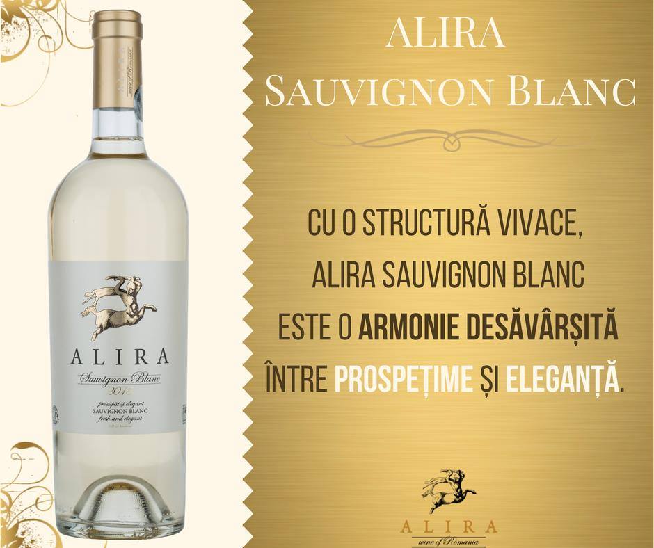 Alira_Vinul's tweet photo. Primul #vinAlb din sortimentatia #Alira nu poate decat sa fie savurat la maximum.#SauvignonBlanc #vintage2015 #premiera #prospetime #elegant https://t.co/eLSW8WGKt8