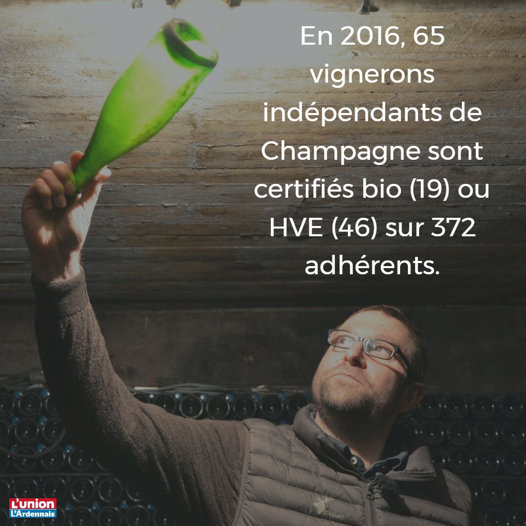 ClaireHohweyer's tweet image. Les @champagneindep s&apos;engagent + pr l&apos;environnemt. Doubler le nbre de certifiés bio/HVE d&apos;ici 2020 #champagne lunion.fr/20343/article/…