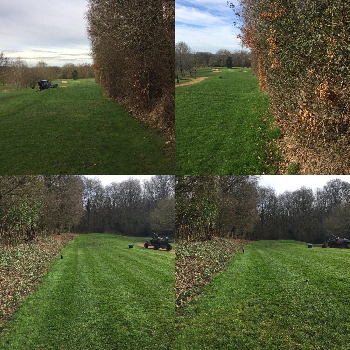 oakparkgreens's tweet image. Final winter project completed ✅ @oakparkgolf hedge on the 15th tee removed ,top effort from the boys this winter👊🏻 🏌🏻⛳🏌🏻👊🏻