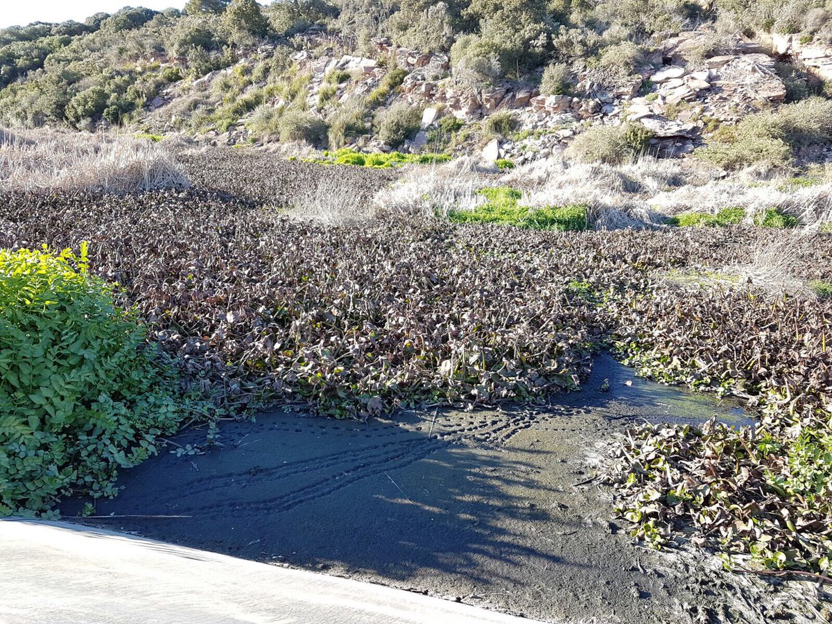asuncionpons's tweet photo. #GovernIB sólo acierta cuando rectifica.El error de @vidalmatas14 silenciado X @MesperMenorca hasta que lo denunció #PPMenorca @santitadeo https://t.co/yBtmNktTTz