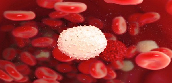 clinical_th's tweet photo. #Mayo #Clinic #researchers find new experimental #drug that shrinks #tumors in multiple #myeloma patients https://t.co/RzWzVf0Plk https://t.co/F2wznHXzJ1