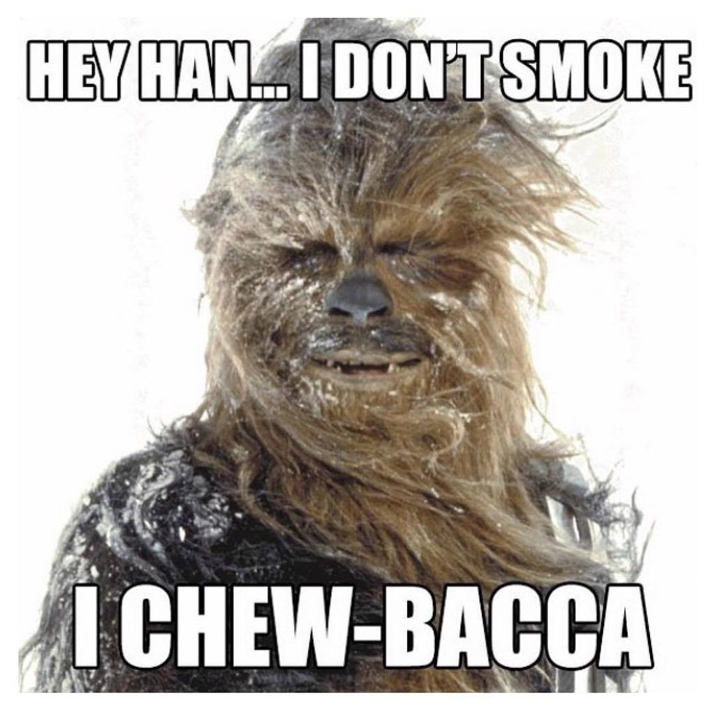 hdgtactical's tweet photo. Chewy knows Best.
• • •🚫🚬
#dontsmoke #gosmokeless #takeadip #diptime #dipme #takachew #che… https://t.co/WgC8VXOUXr https://t.co/YzO6HitD4v