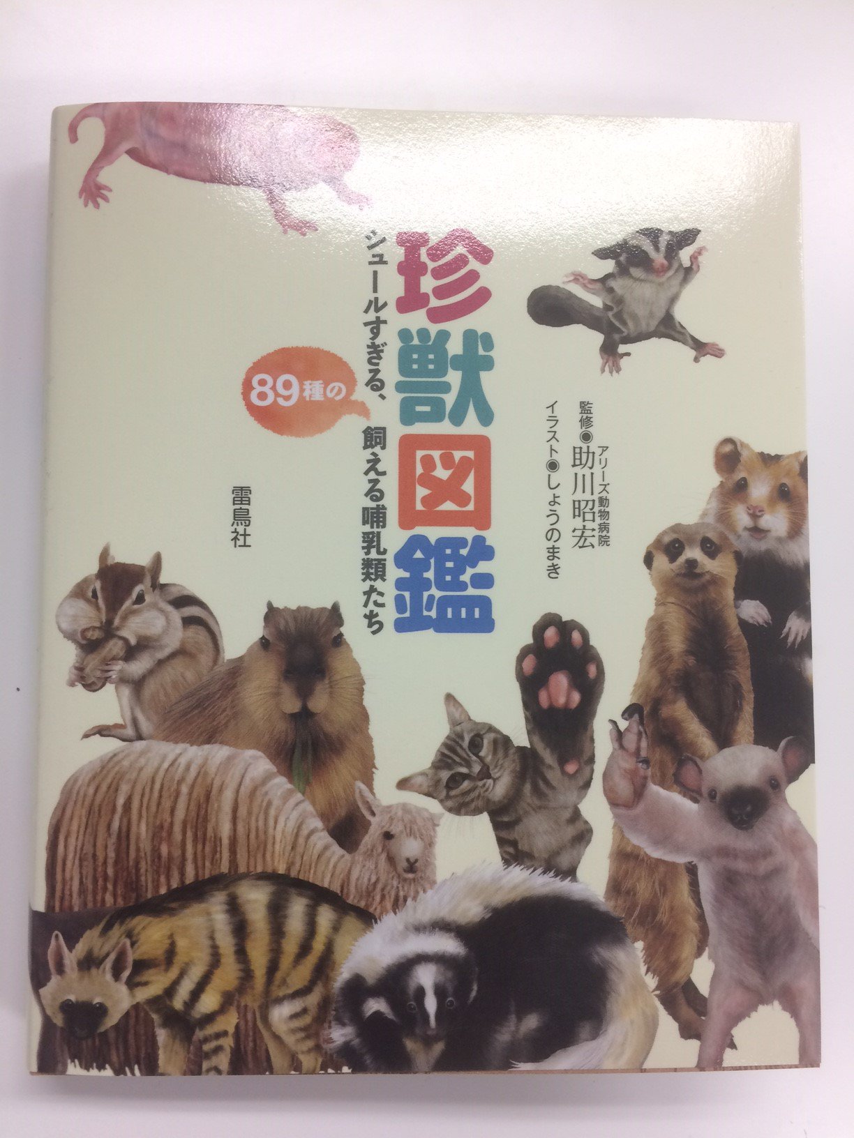 雷鳥社 新刊 珍獣図鑑 シュールすぎる 種の飼える哺乳類たち が発売です 実は日本でも飼えちゃう変わった動物 たちをリアルなイラストでご紹介 今話題の けものフレンズ に登場する動物も掲載されていますよ 本屋さんで背表紙のアルパカと目が