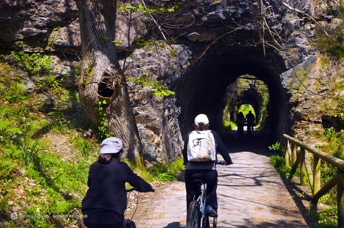 TurismoAsturias's tweet photo. Senda del Oso, la @viasverdes_ffe más espectacular que conoce @unpaisxrecorrer https://t.co/Dpjugg9rt8 #ParaísoNatural https://t.co/VaFMHqTruU