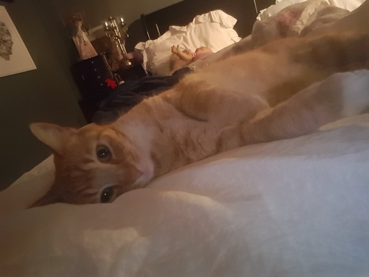 Mr Sam