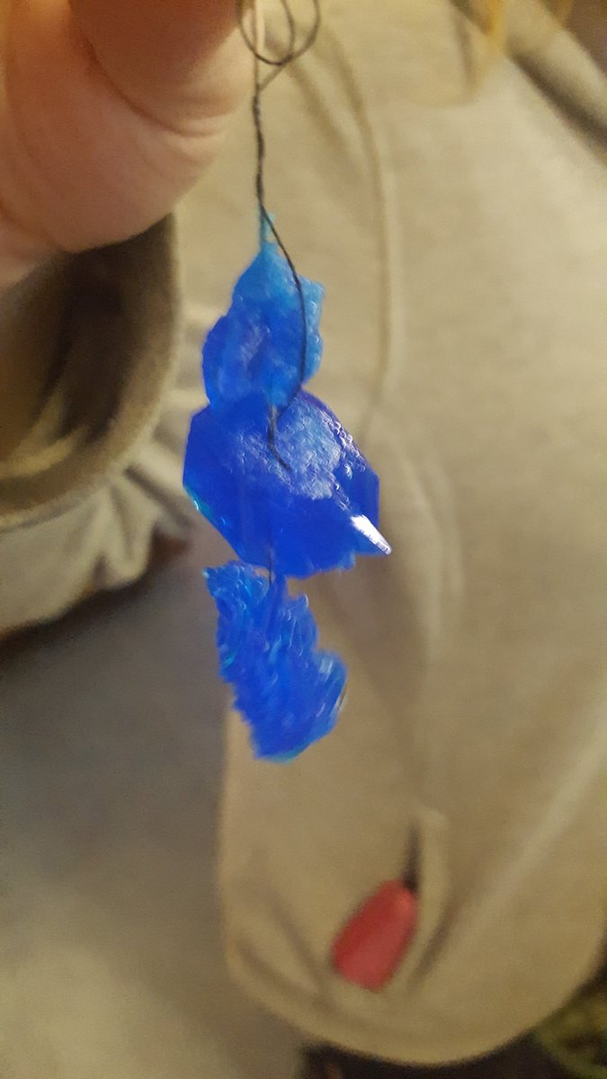 science_ihs's tweet photo. Pretty copper sulfate crystals in S2. Well done to Hannah Cuthbertson who followed the method carefully to make the largest one. @IHSupdates https://t.co/A2f4YUUYdt