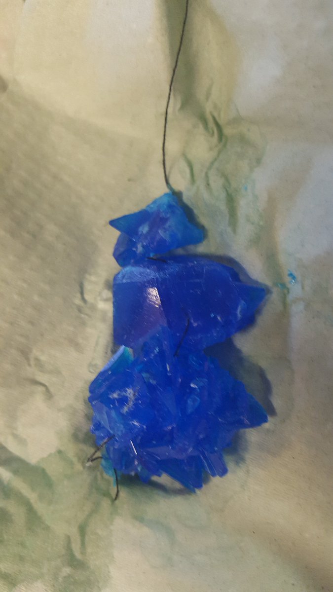 science_ihs's tweet photo. Pretty copper sulfate crystals in S2. Well done to Hannah Cuthbertson who followed the method carefully to make the largest one. @IHSupdates https://t.co/A2f4YUUYdt