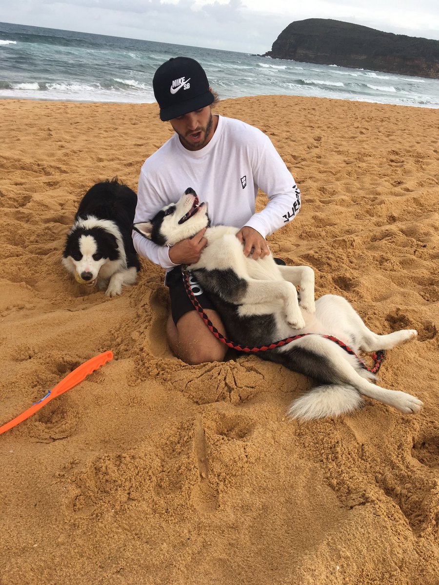 graceecurtis's tweet photo. My favourite feeling... taking these two on little adventures #sleepydogs https://t.co/wIe0yczjZm