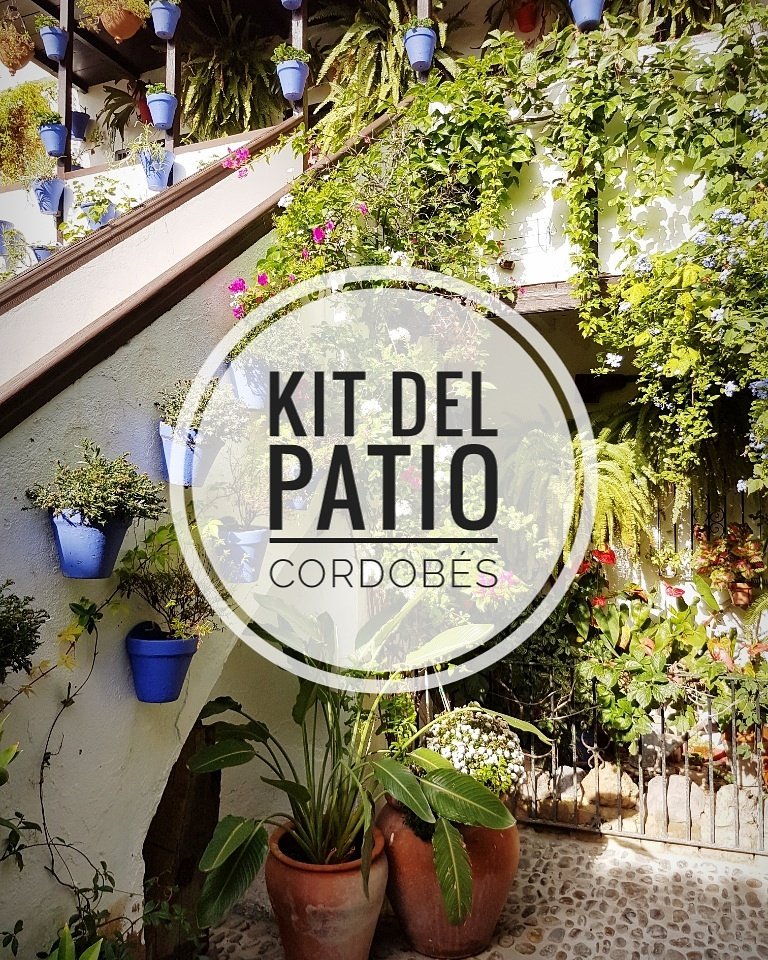 A 5 días para la primavera, #CórdobaEsp prepara sus patios, rejas y balcones Tu también puedes con <a href="/kitpatiocordoba/">Kit Patio Cordobés</a> ow.ly/zLwE309Vbdd