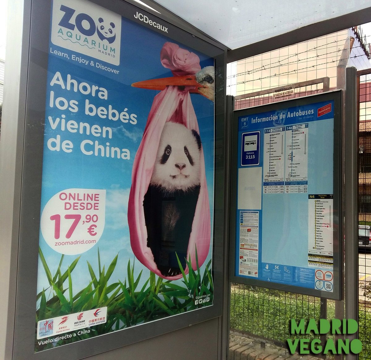 madrid_vegano's tweet photo. Vidas miserables de cautiverio para quienes están entre sus barrotes ➡️https://t.co/FEcpkiFZRT #Madrid #StopZoosyAcuarios #Nocolabores ⛓️ https://t.co/QMKcXQaVcU