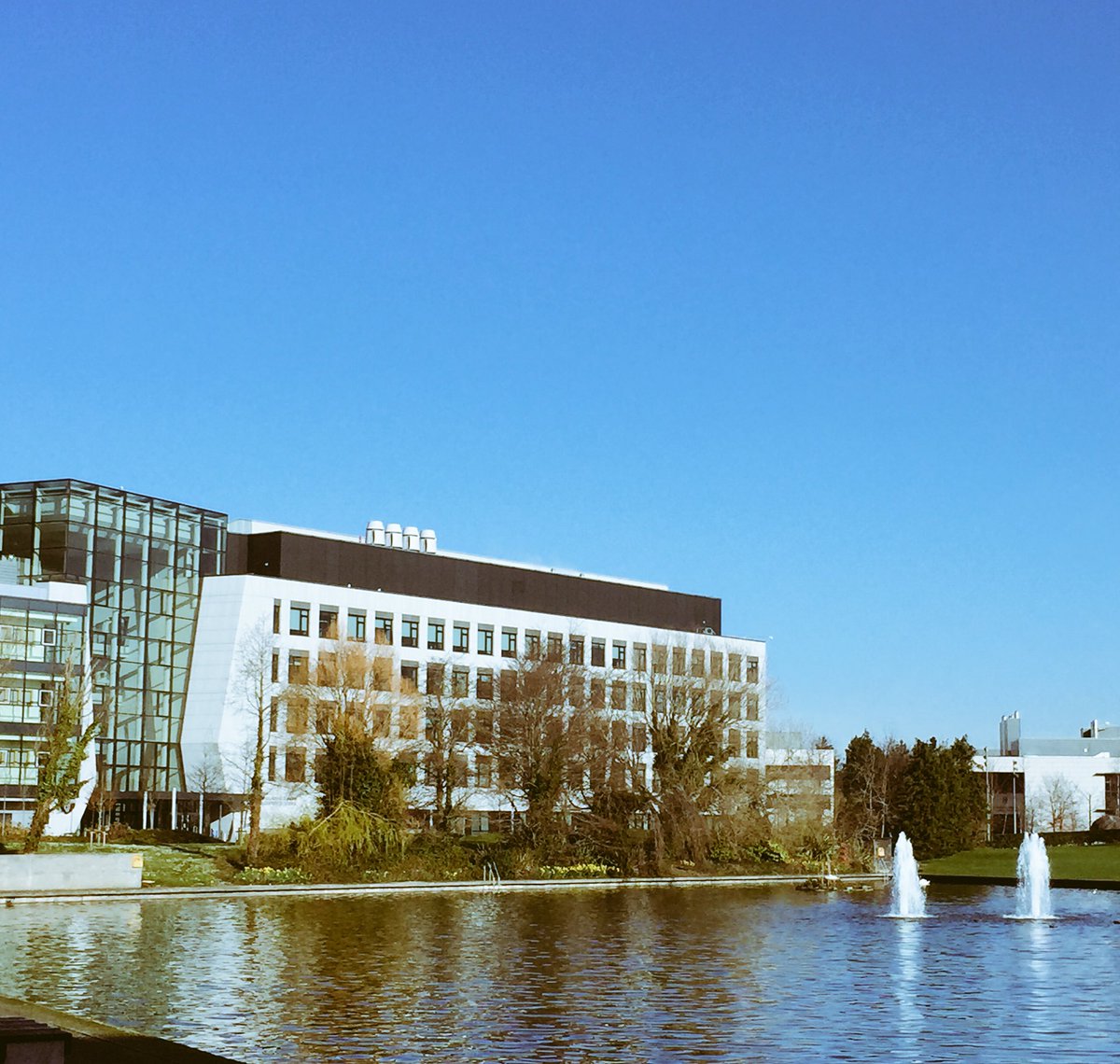 It's a GORGEOUS day in <a href="/ucddublin/">University College Dublin</a> - and it's finally here, #WST2017 kicks off today in <a href="/ucdscience/">UCD Science</a> 😎