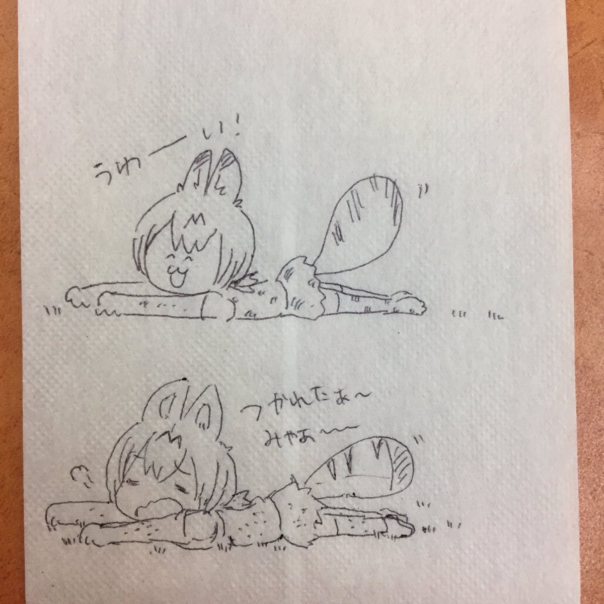 サーバルちゃんぅゎーい!