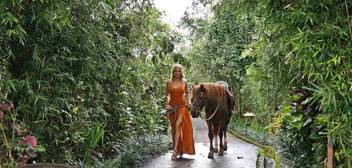 "Dress in style with an orange dress" its now on my blog sofiahills.com