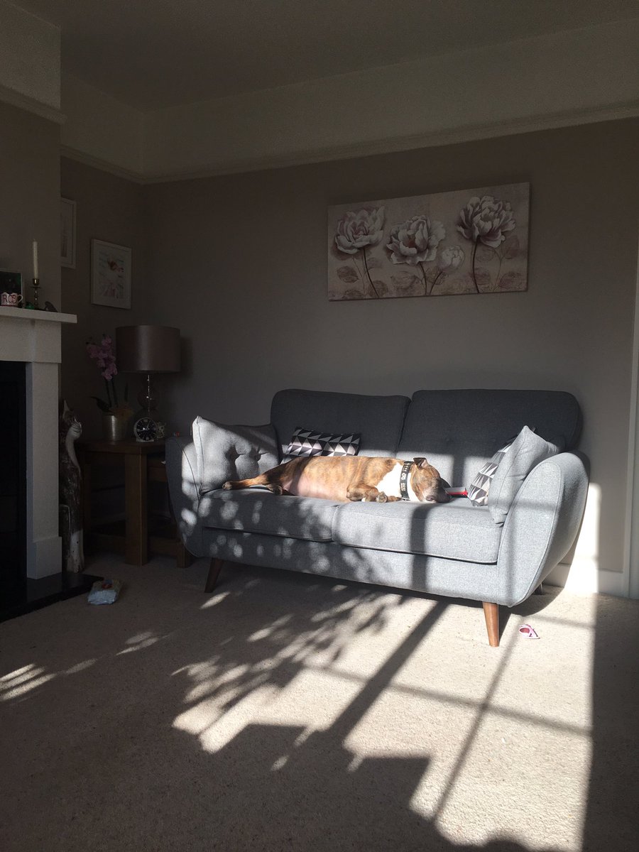 Nothing quite like a sun beam