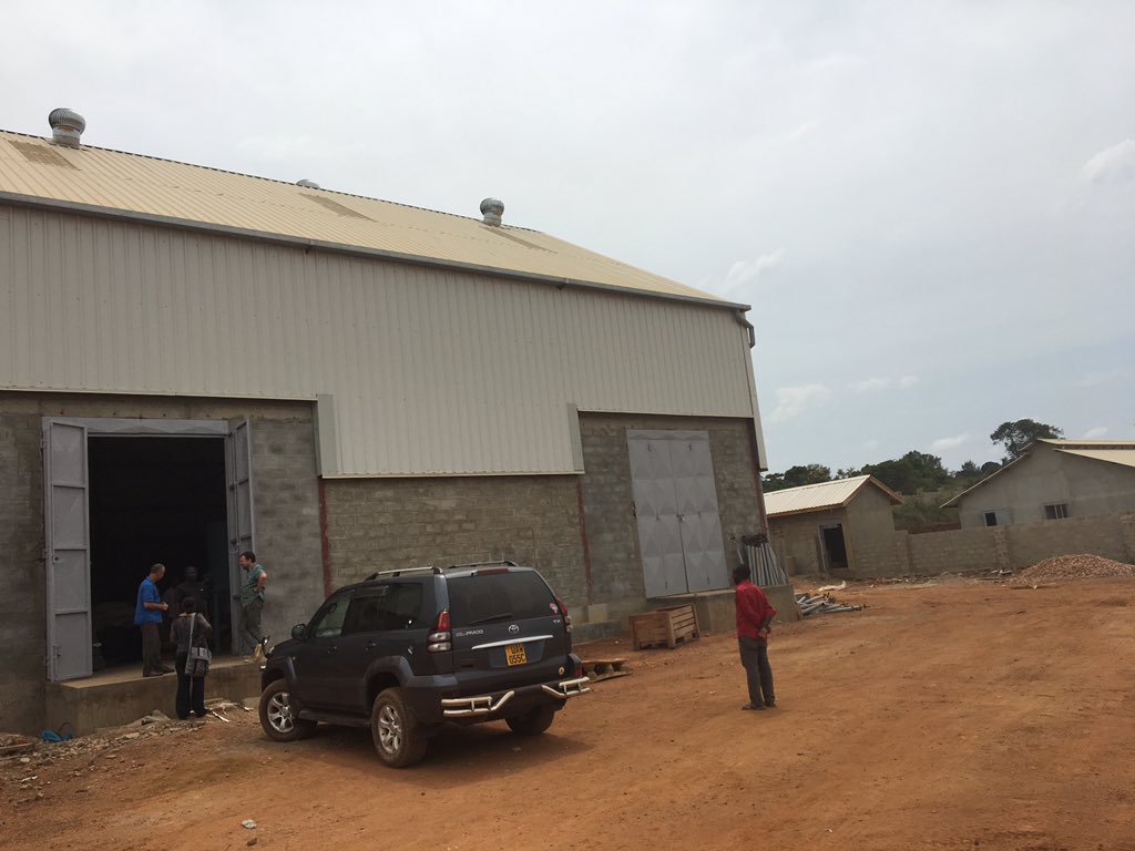 Breeds, Feeds &amp; Meats Ltd introducing latest productivity enhancing piggery genetics to Uganda. Supported by Dutch PSI program.