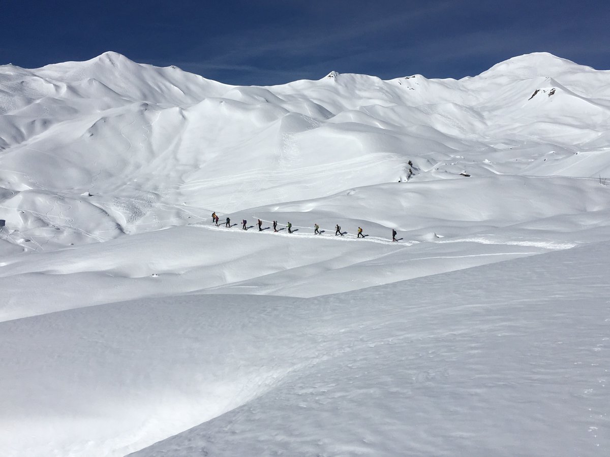 Alpiner Tatzelwurm vor Girenspitz und Schafberg, 2456 m, hoch über Partnun GR.
Bild: plm, Wandermagazin SCHWEIZ