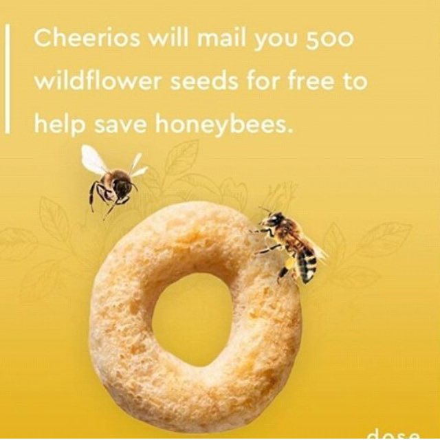 gukkidsi's tweet photo. I ordered mine and they are totally free! So if you'd like to join in #bringbackthebees go to the link in my bio and order today! https://t.co/stg1FtCAEI