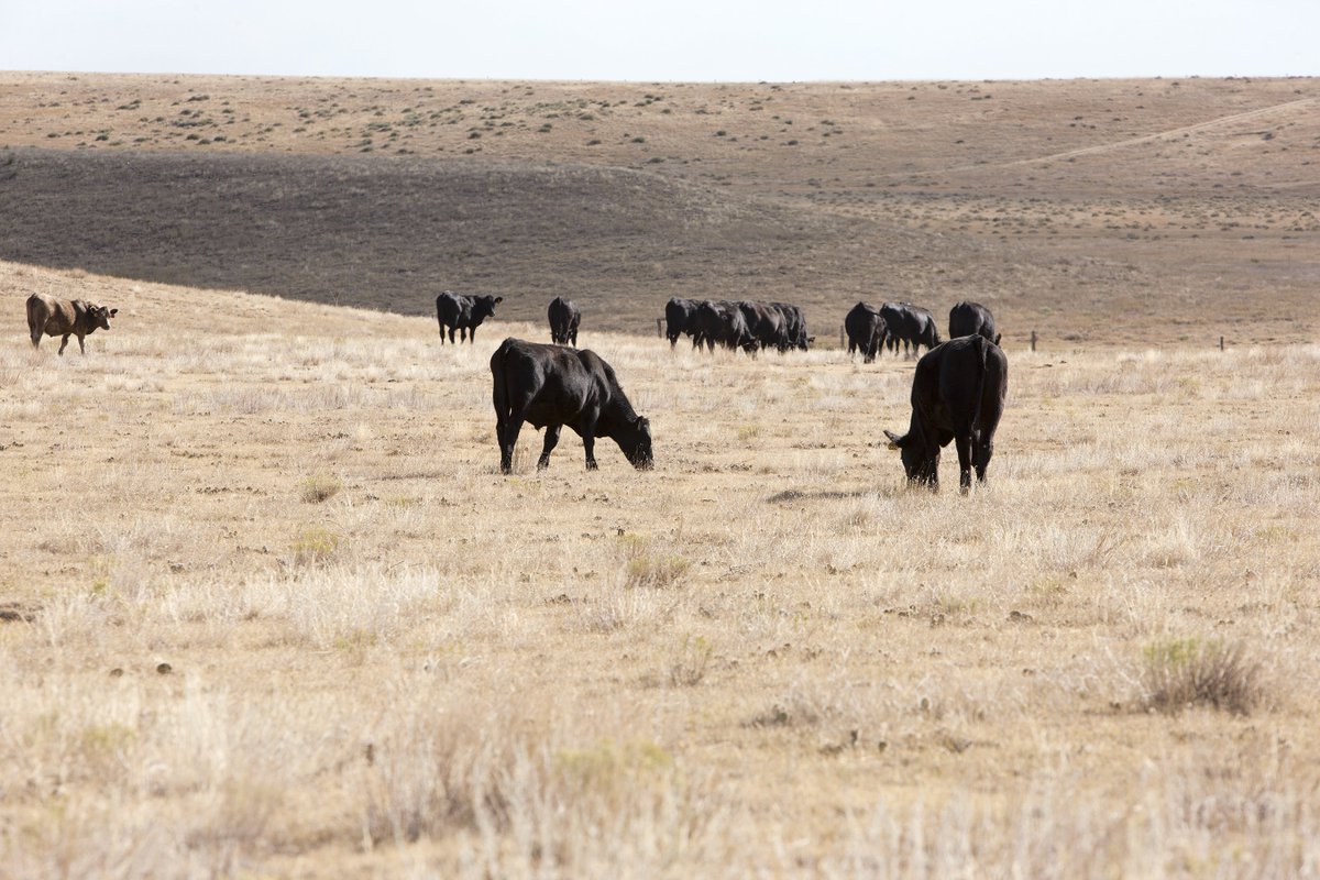 Agricultural Research Service tweet media