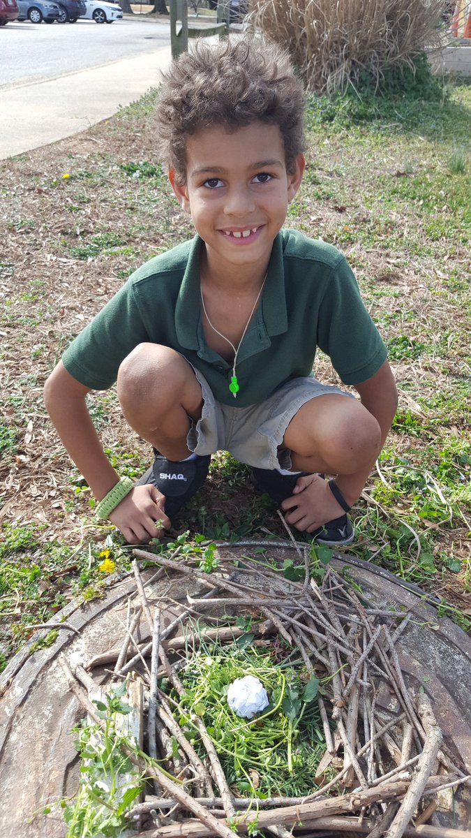 kmroseberry's tweet photo. Science is for the birds- building nests as part of habitats' lesson #FisherFlamingos #WeAreRPS https://t.co/MN2nRGgn5H