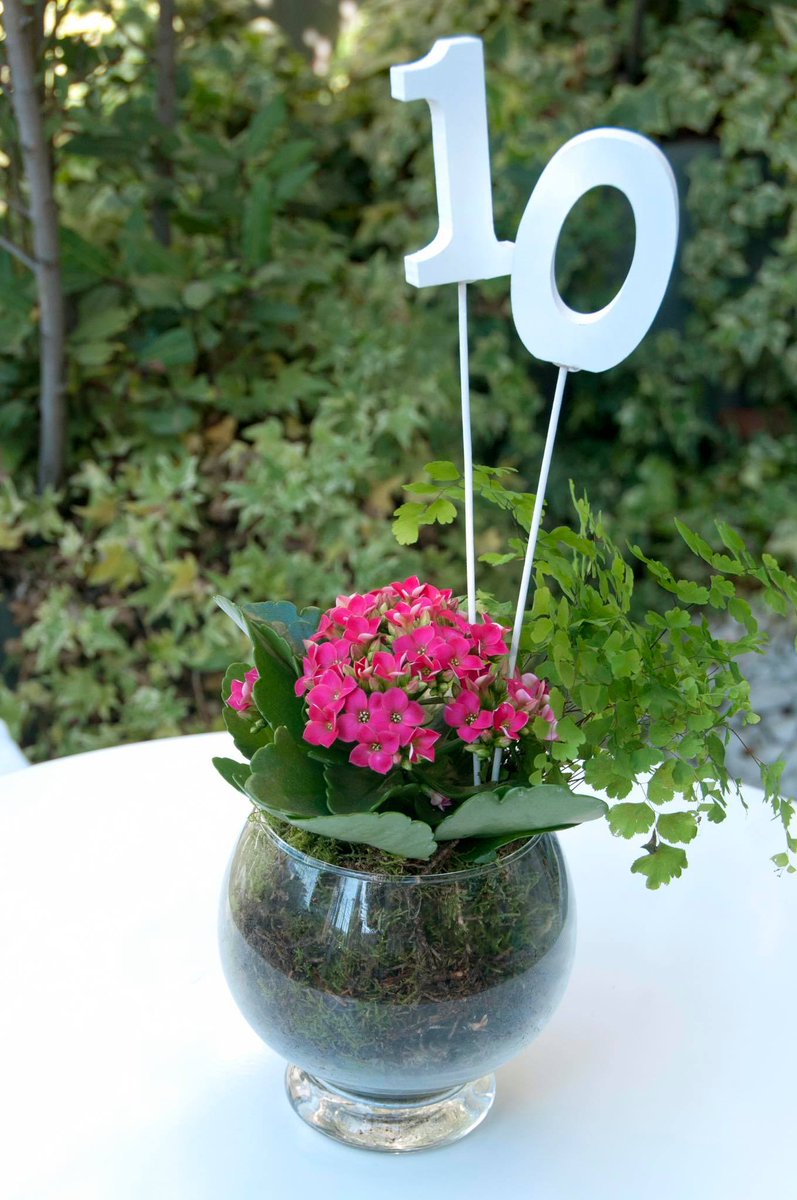 CorporalMC's tweet image. Un gran  día para celebrar nuestro #DecimoAniversario, y los que nos quedan...muchas gracias a tod@os los que hab... facebook.com/23002402371717…