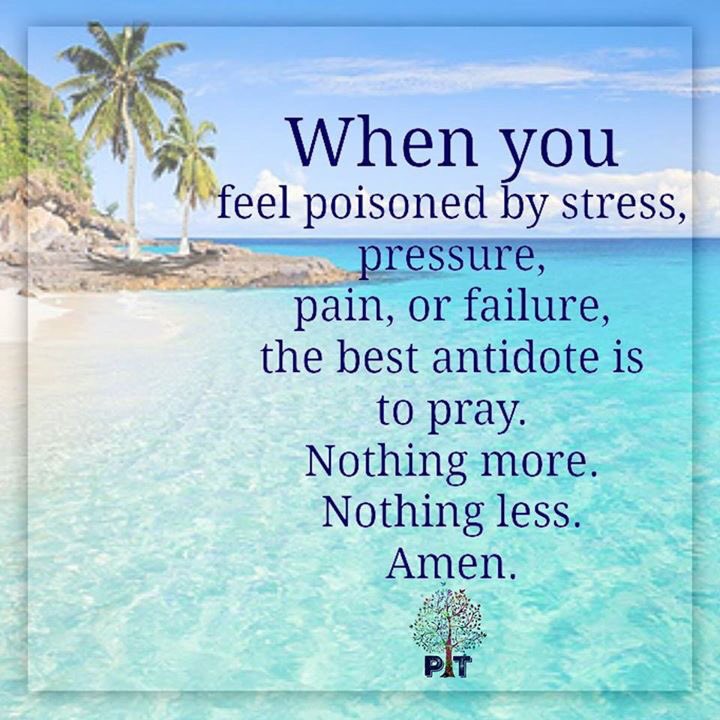 EntryId's tweet image. Gud nyt