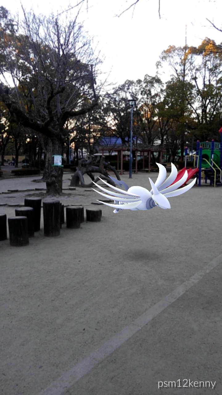 エアームドは中村公園 Twitter Search Twitter