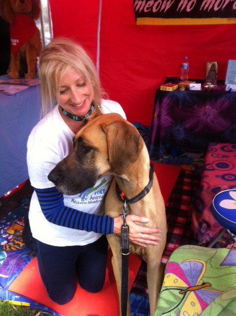 Dogapalooza videos!!  2014  youtube.com/watch?v=cQ9mng… …  2016   youtube.com/watch?v=Eq6bfD… …  facebook.com/bluefirereiki  #bluefirereiki