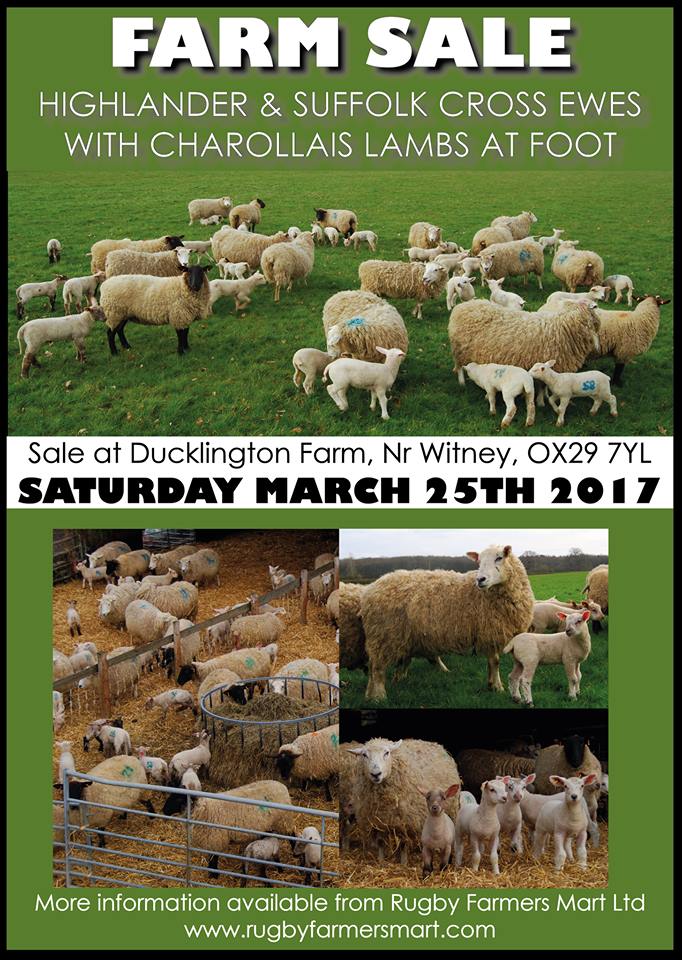 RFM_Ltd's tweet photo. SATURDAY 25TH MARCH 11AM https://t.co/7RtDQejYG4