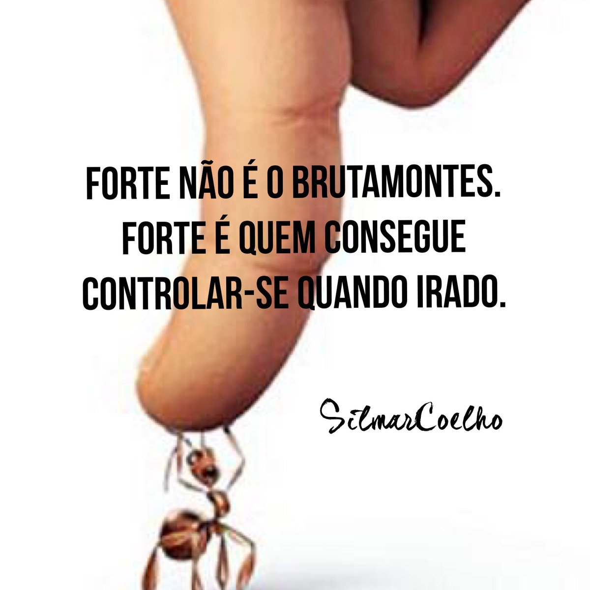 silmarcoelho's tweet photo. https://t.co/P7BBjEXWIL