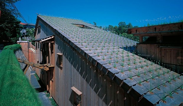 CultureWhisper tweet media