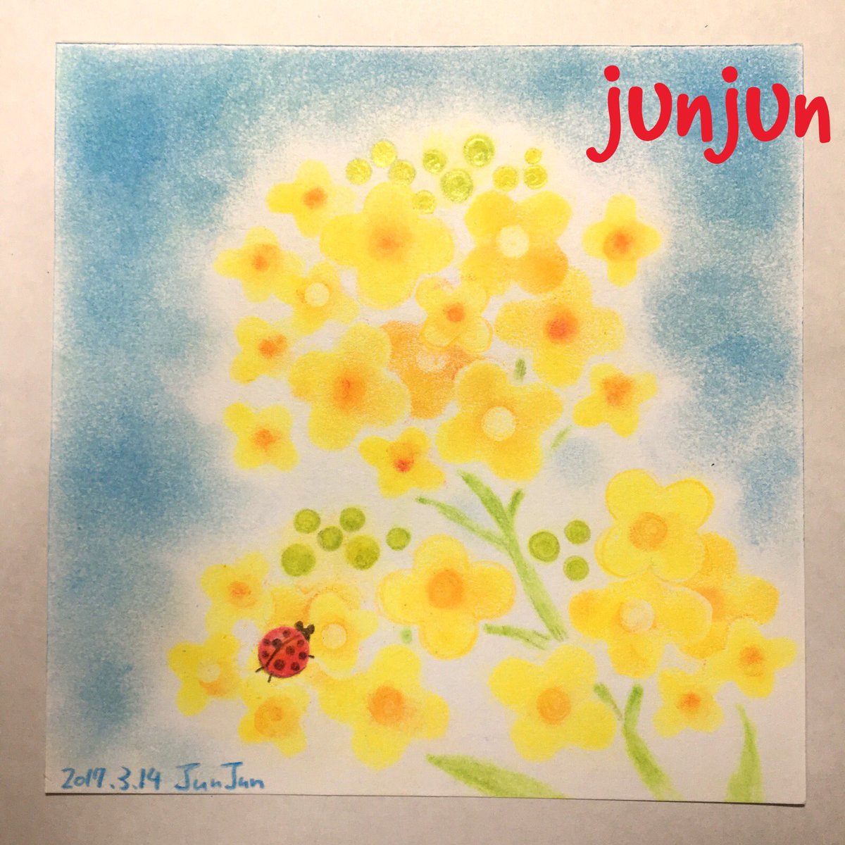 ট ইট র パステルjunjun 動物似顔絵 虹色パステル パステルws用 春のパステルワーク 菜の花 所要時間60分 今年は菜の花畑に行けなかったです また来年のお楽しみですね パステル和アート パステル画 春 菜の花 Canolaflower Art