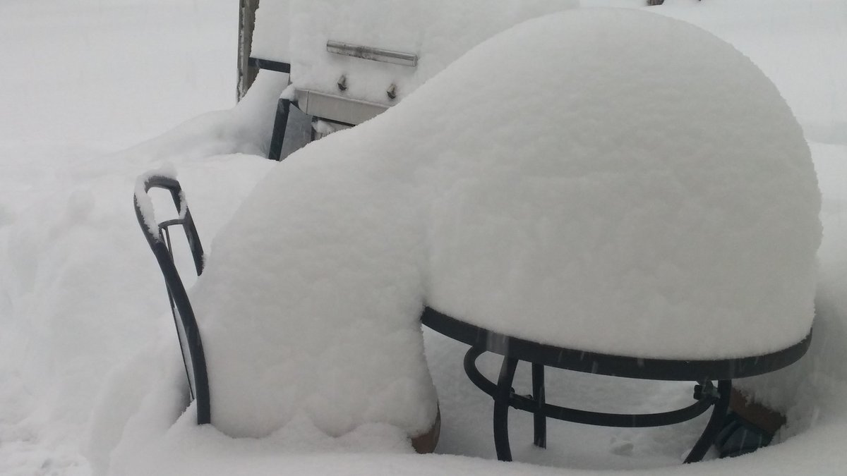 MeowVT's tweet image. Day two of #StellaBlizzard #stella2017 #SpringtimeInVermont