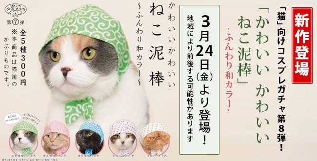 Mofoojp V Twitter カプセルトイ 猫 向けコスプレガチャ かわいい かわいい ねこ泥棒 の新カラー登場 ふんわり和カラー T Co Mmvuo0hwid キタンクラブ かわいいかわいいねこ泥棒 コスプレ 猫グッズ かぶりもの 猫モフー T Co 2jejiie8q4