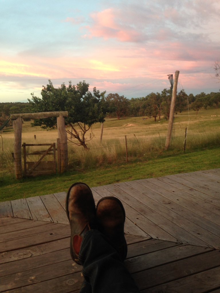 HanifHayyi's tweet photo. Its a wrap. See you tomorrow beautiful sky and gorgeous grasses. ⛅️🌱
#ozfarmer #sentrybox #agrorebel https://t.co/E0zRYo6Js5