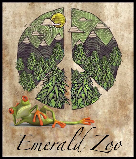 EmeraldZoo's tweet photo. When you do the morning dab and realize your #ZooZoned out... @EmeraldZoo in the lounge working up a good laugh with the #FirstDabOfTheDay https://t.co/PcYGgiRni0