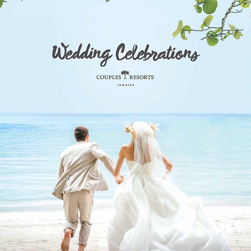 sapna_sharon's tweet photo. #wedding #weddingdestinations #weddingfavors  #promotion #bridaloffer #silhouette  #hautec… https://t.co/zIDzJu8hfR https://t.co/l5GpDXcUbc