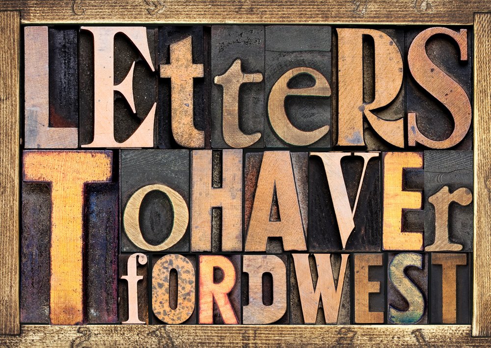 Lab, Haverfordwest tweet media