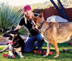 HAPPY BIRTHDAY 

Bret Michaels 