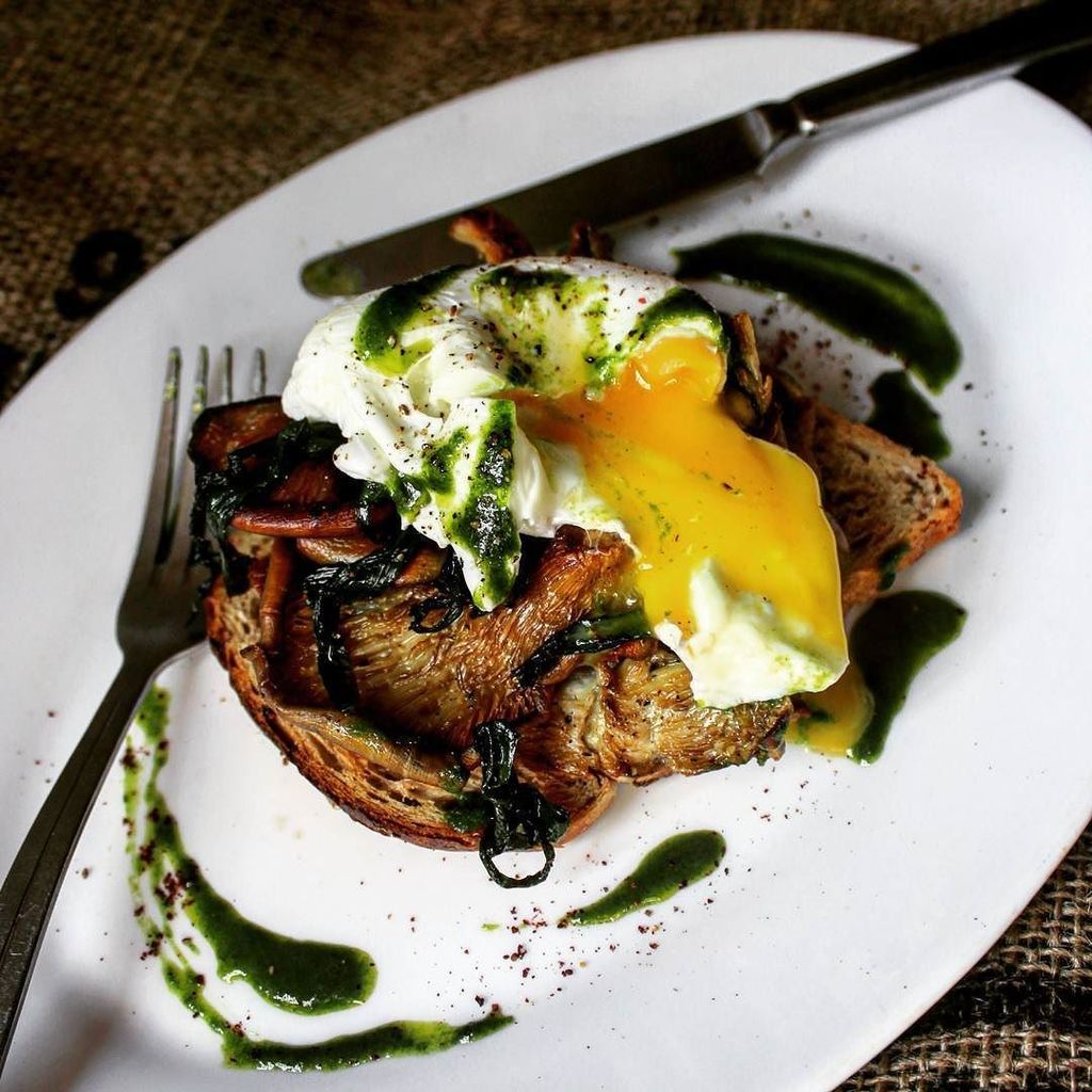 DudeSweetFood's tweet image. Breakfast: Oyster mushrooms, wild garlic, poached egg, toast @grocycle ... went for a bit … ift.tt/2m0g8W3