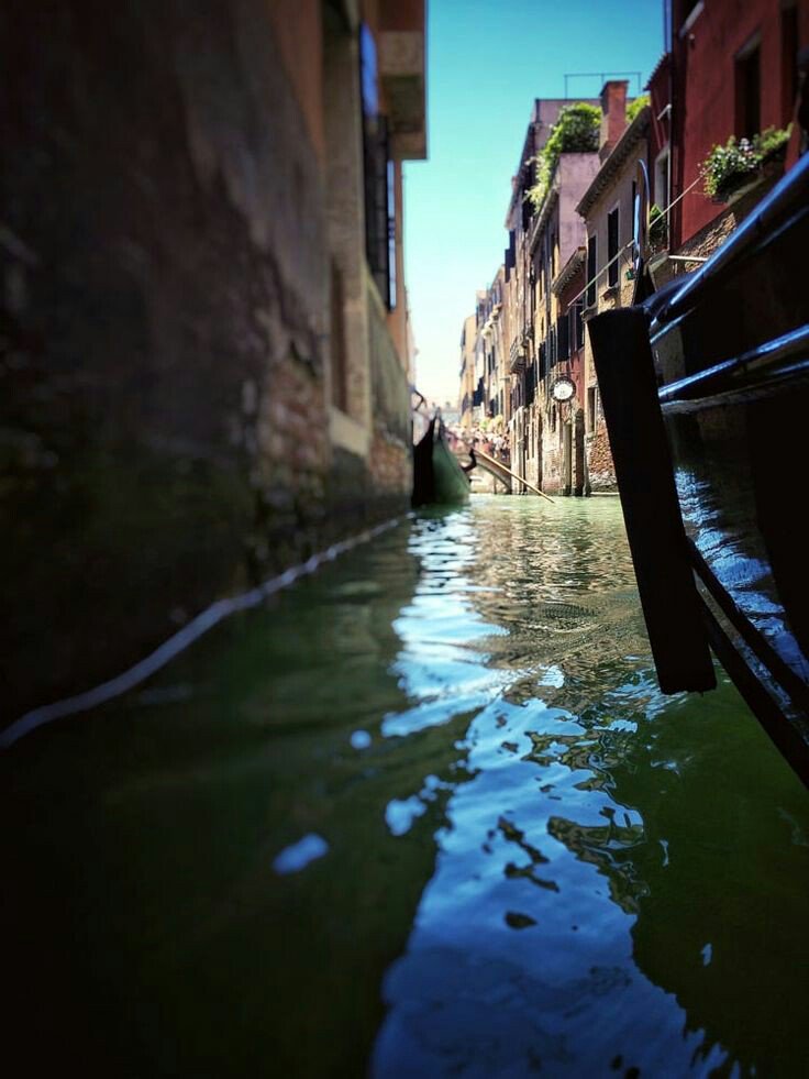 VenexianaVE's tweet photo. #Buonpomeriggio e stupenda giornata a tutti voi ~β€~ #Venezia #Venice #feelvenice #lovevenice #gondola #sunnyday #veniceview~ph.by Adam Sharp https://t.co/XOgJXkJqXc