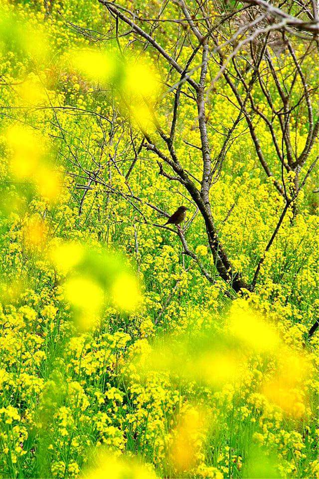 Sweetbox!❤️❤️❤️❤️💐💐💐💐💐💐 tweet media