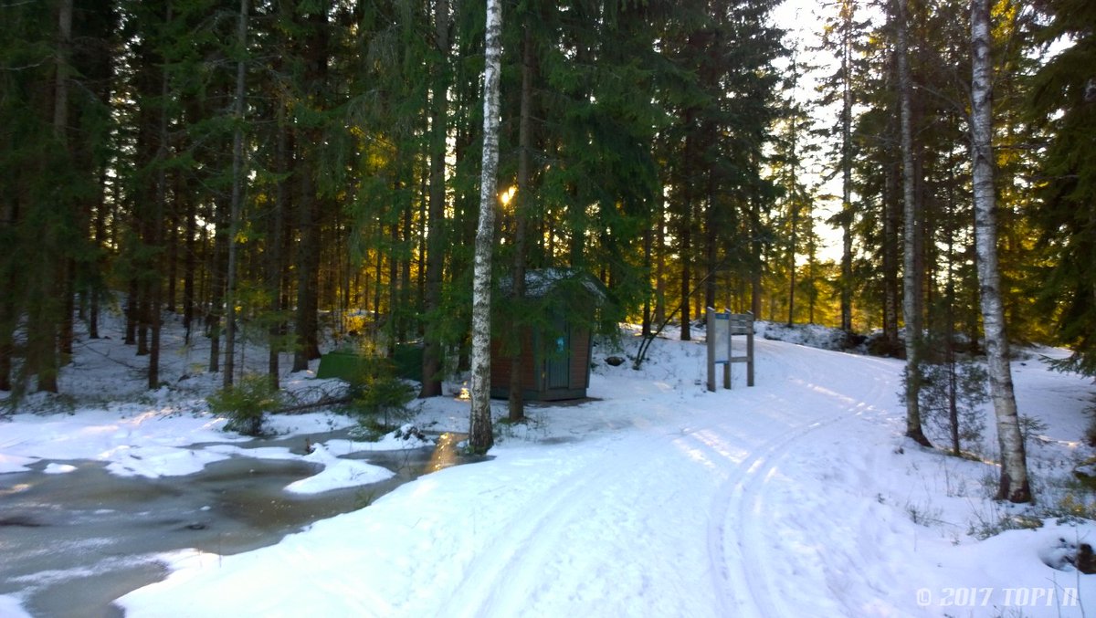 TopiSF's tweet image. #ski #skiing #finland #forest #snow #snowday #sun