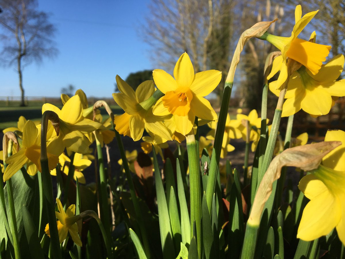 CureSimple's tweet image. #mothersday #giftcard #competition #RT  &amp;amp; #follow to be in with a chance of #winning a years supply of our #bacon for your Mum #baconbypost