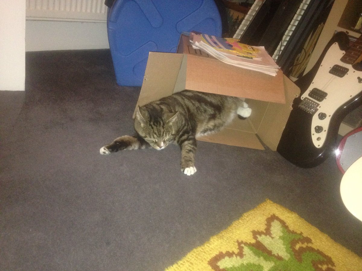 MILK_RECS's tweet photo. @SH0PP1NG and As Ondas play with @TheTutsBand at @VICTORIADALSTON this Saturday! Here's Boose in a box https://t.co/zo3XjR7SMg