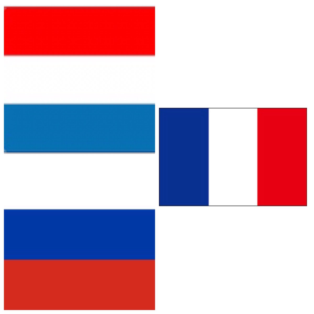 ぶーたろう 5 2ミスチル札幌ドーム参戦 フランス オランダ ロシアの国旗がややこしい件